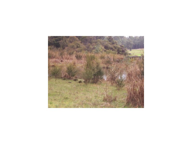 Lot 705 De Park Road, Dwellingup WA 6213