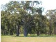 Lot 57 Twin Bridges Place, Boddington WA 6390