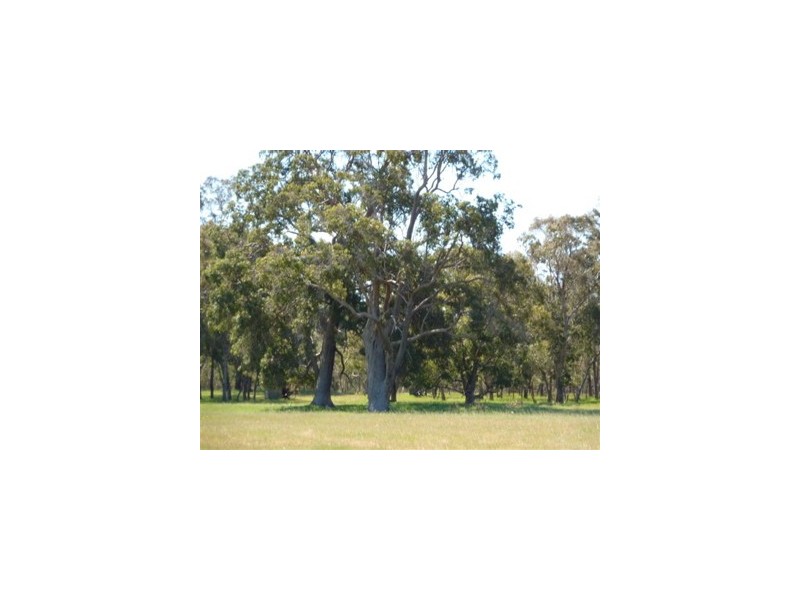 Lot 57 Twin Bridges Place, Boddington WA 6390