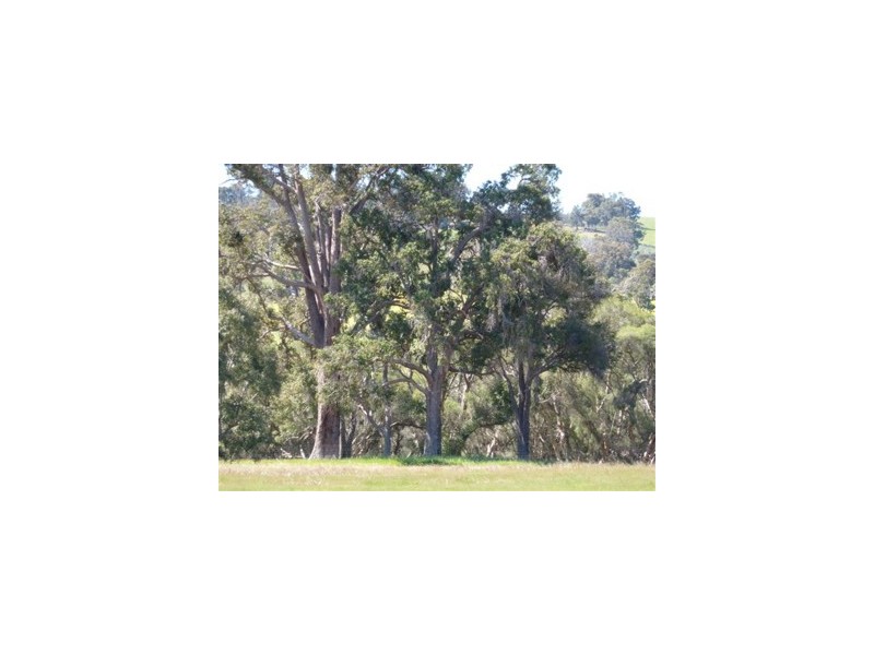 Lot 57 Twin Bridges Place, Boddington WA 6390