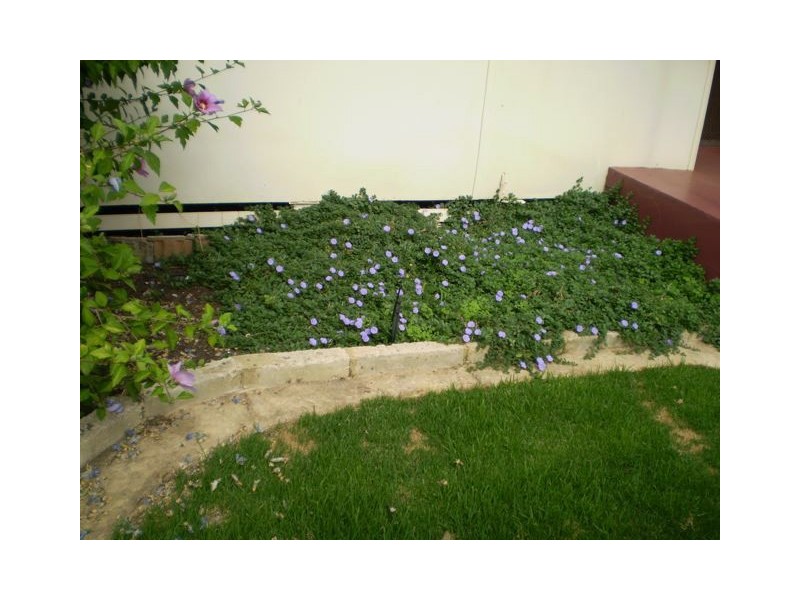 54 Mclarty Street, Dwellingup WA 6213