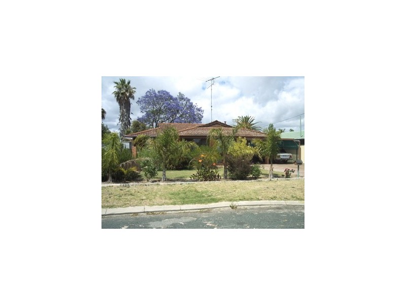 10 Pimelea place, Pinjarra WA 6208