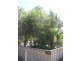 36 Wallace Road, Dwellingup WA 6213