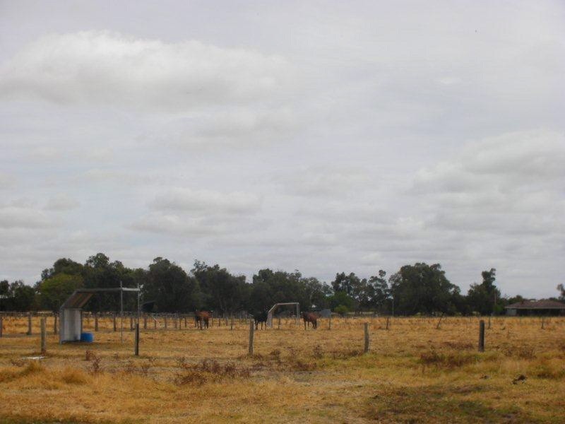 50 Hainge road, Hamel WA 6215