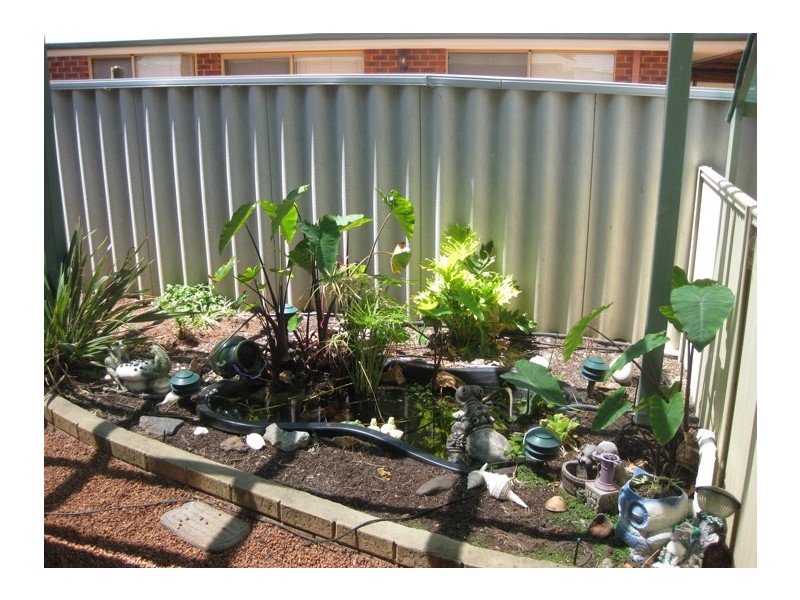 14 Taylor Court, Pinjarra WA 6208