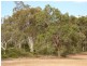 Lot 112 Mitchell Crescent, Boddington WA 6390