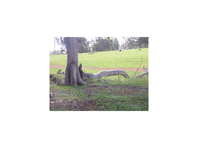 12 Days Road, Boddington WA 6390