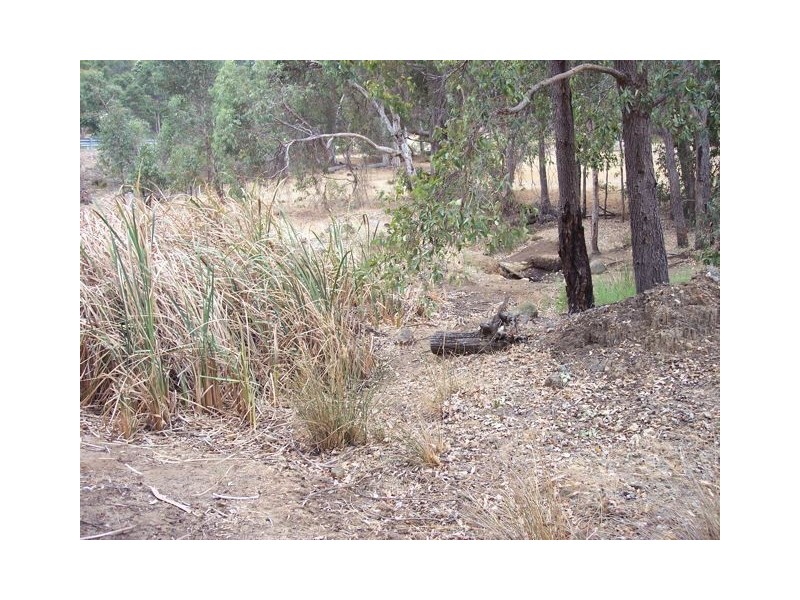 Lot 801 Hines Road, North Dandalup WA 6207