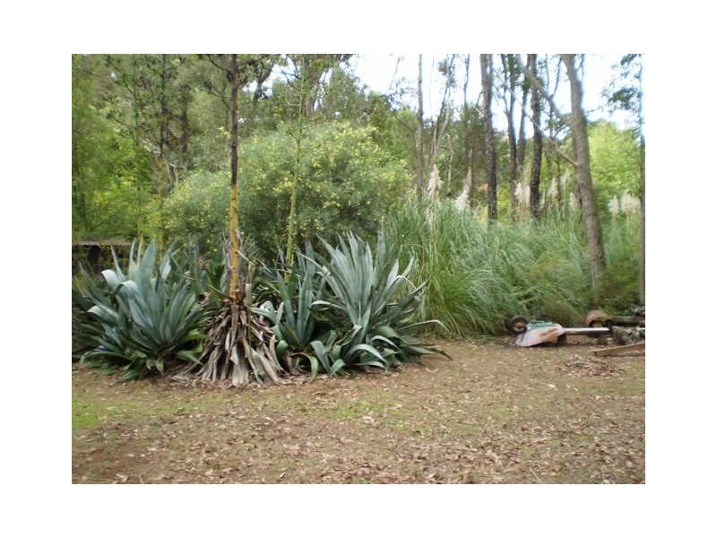 200 Holyoake Road, Dwellingup WA 6213