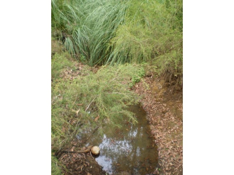 200 Holyoake Road, Dwellingup WA 6213