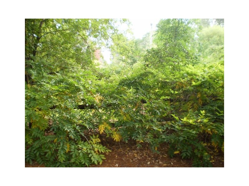 200 Holyoake Road, Dwellingup WA 6213