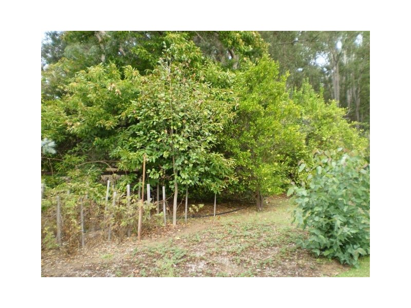 200 Holyoake Road, Dwellingup WA 6213