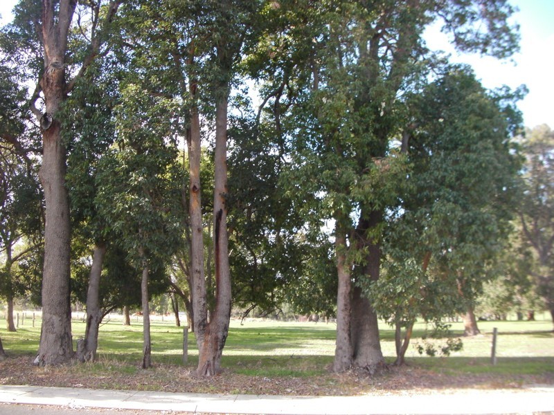53 Recreation Road, Waroona WA 6215