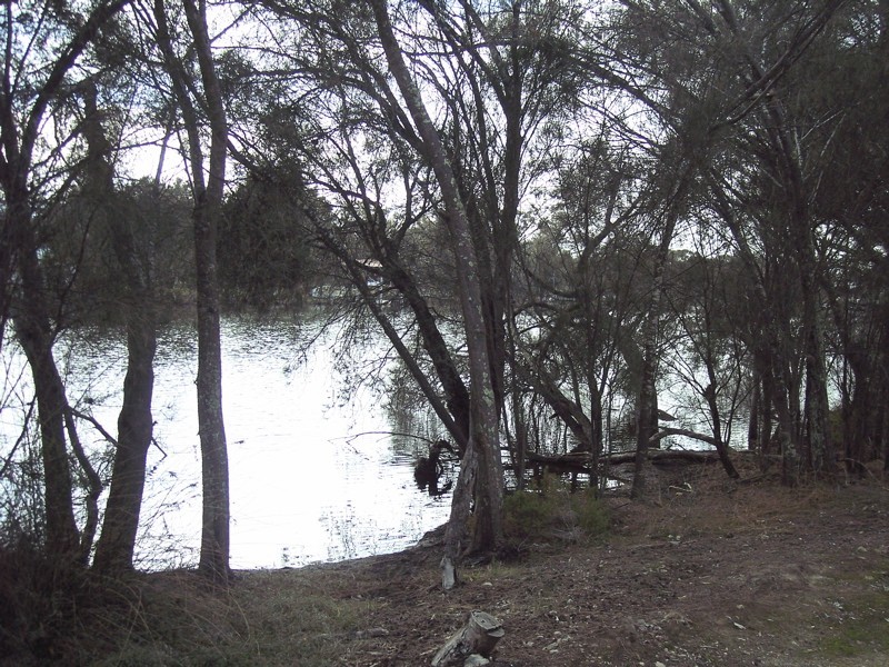 12 Kruger Loop, South Yunderup WA 6208