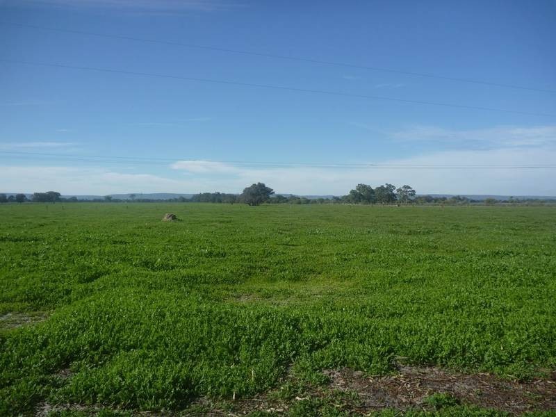 495 Old Bunbury Road, Pinjarra WA 6208