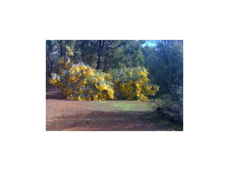 62 Warren Road, Dwellingup WA 6213