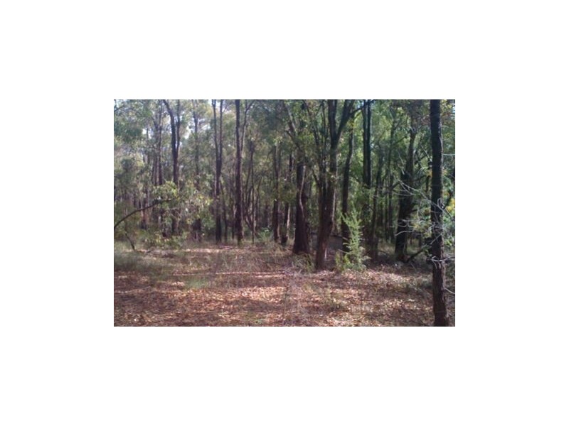 62 Warren Road, Dwellingup WA 6213