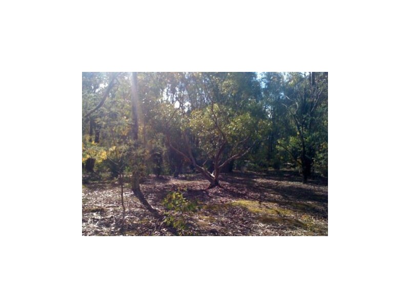 62 Warren Road, Dwellingup WA 6213