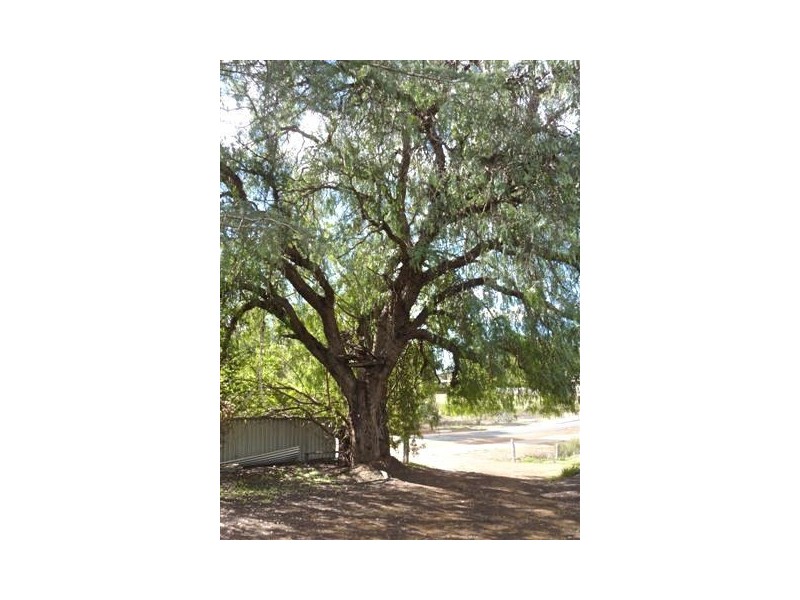 17 Pollard Street, Boddington WA 6390