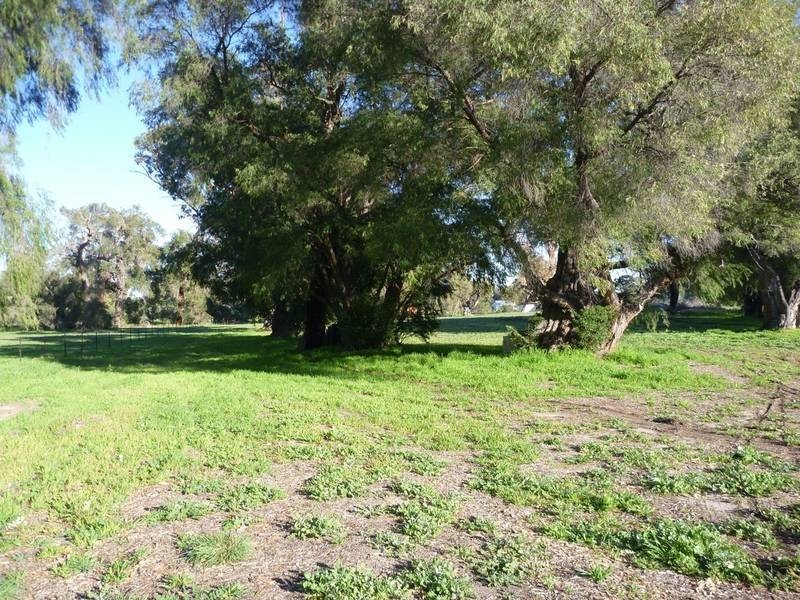 28 Birch Street, Birchmont WA 6214