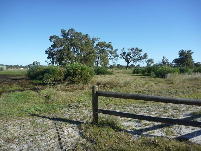 Lot 193 Curtis Lane, Pinjarra WA 6208