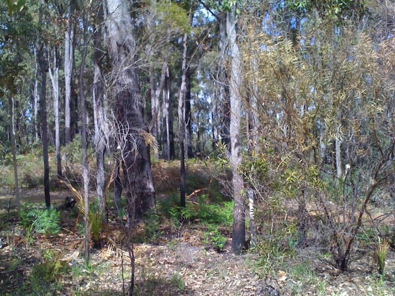 18 Begonia Court, Dwellingup WA 6213