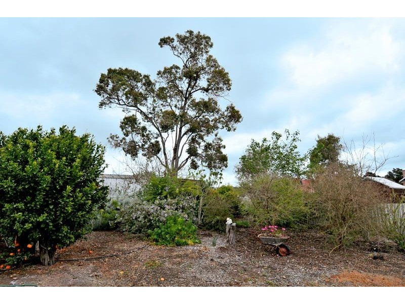 6 Church Street, Dwellingup WA 6213