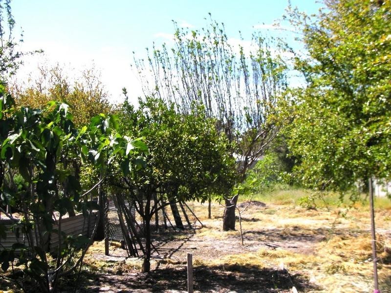 170 South West Highway, Waroona WA 6215