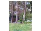 5 Forestview Road, Dwellingup WA 6213