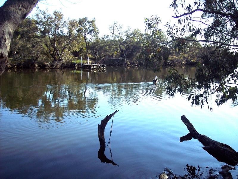 25 Lever Way, South Yunderup WA 6208