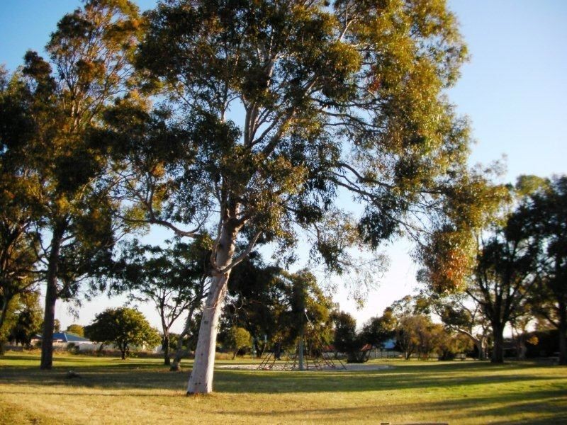 15 McKay Avenue, Waroona WA 6215