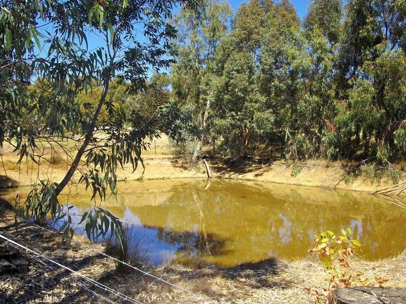 38 Peel Road, Waroona WA 6215