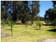 38 Peel Road, Waroona WA 6215