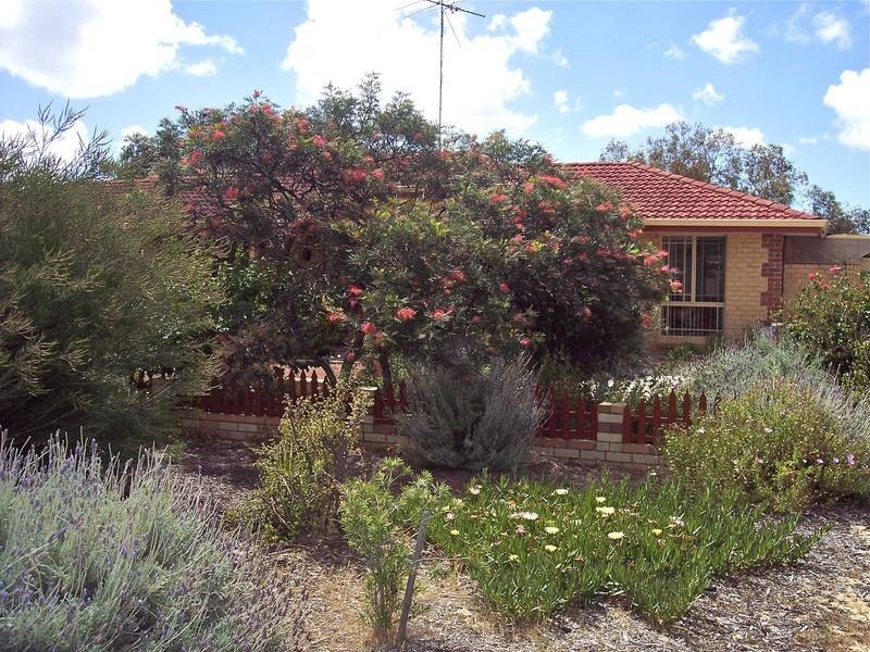 118 South Yunderup Road, South Yunderup WA 6208