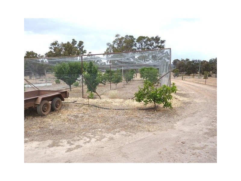 Lot 12 Kalimna Way, Boddington WA 6390