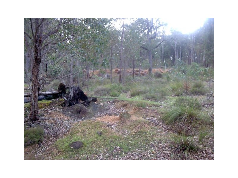 L2,3&8/672 Tallathalla Road, Waroona WA 6215