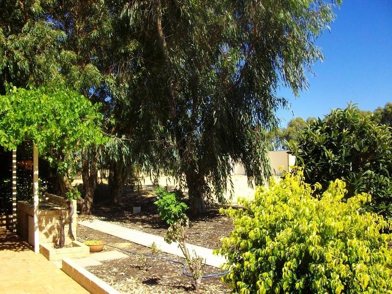 78 Homebush Road, Yarloop WA 6218