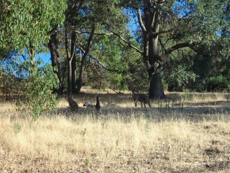 Lot 9 Woodley Heights, Waroona WA 6215