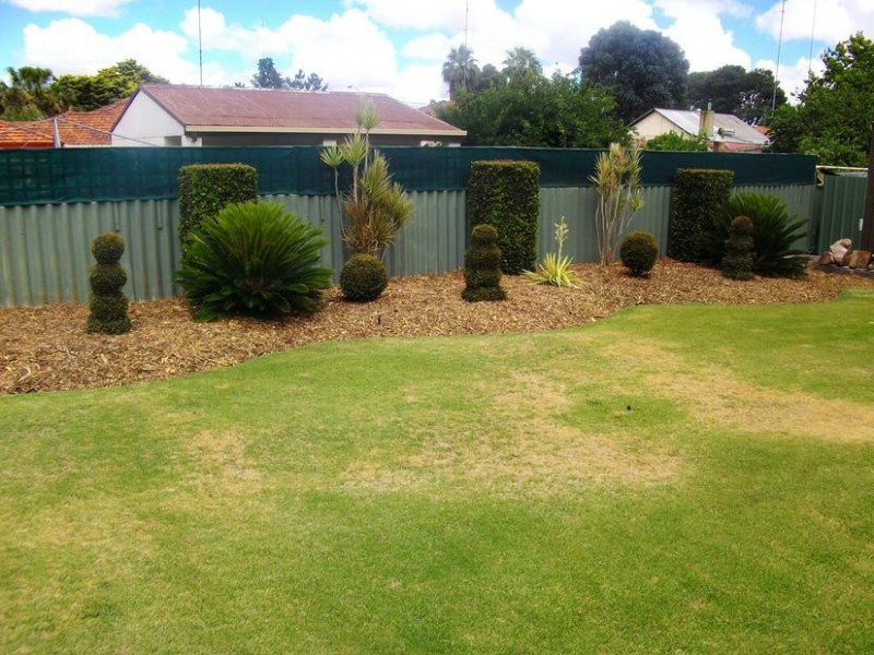 67 Recreation Road, Waroona WA 6215