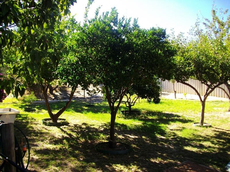 17 McDowell Street, Waroona WA 6215