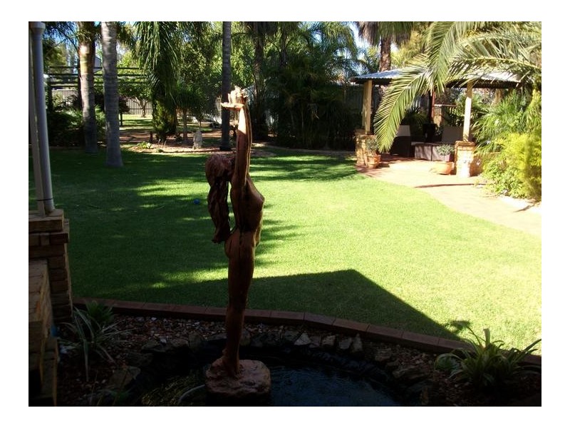 17 McDowell Street, Waroona WA 6215