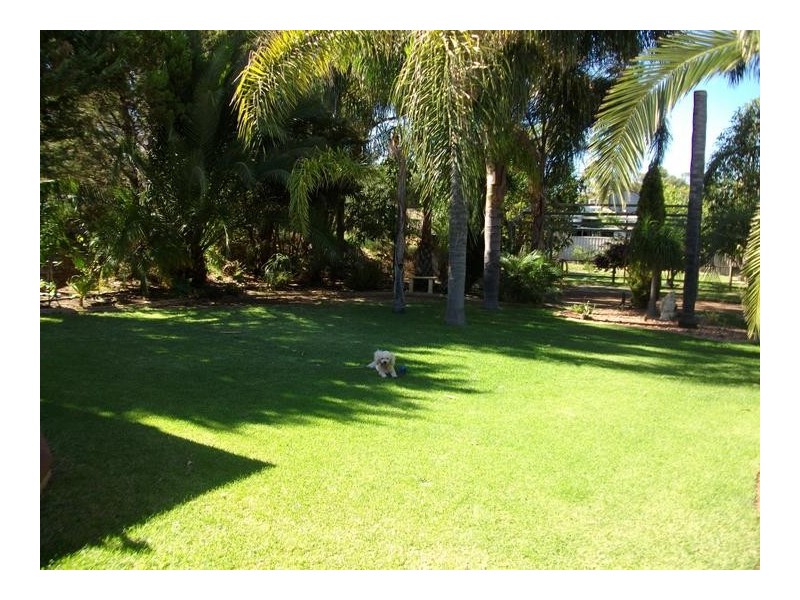 17 McDowell Street, Waroona WA 6215