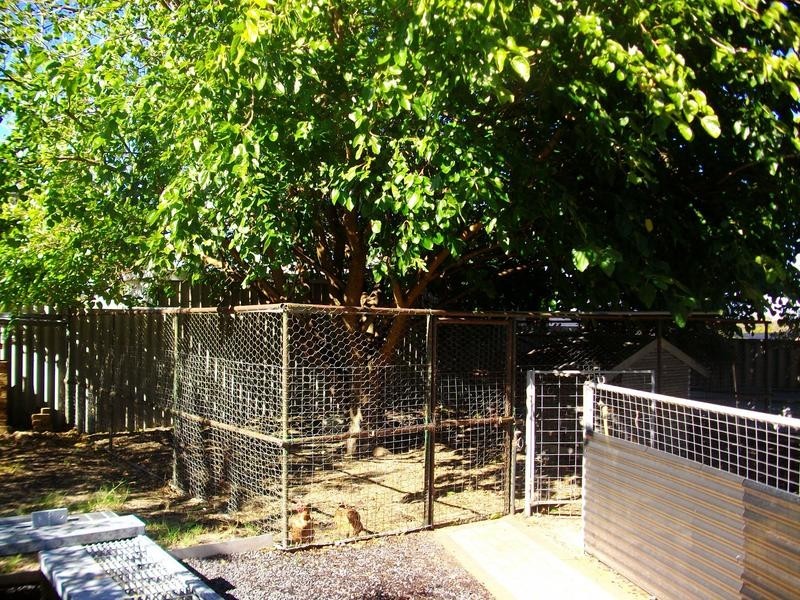 17 McDowell Street, Waroona WA 6215