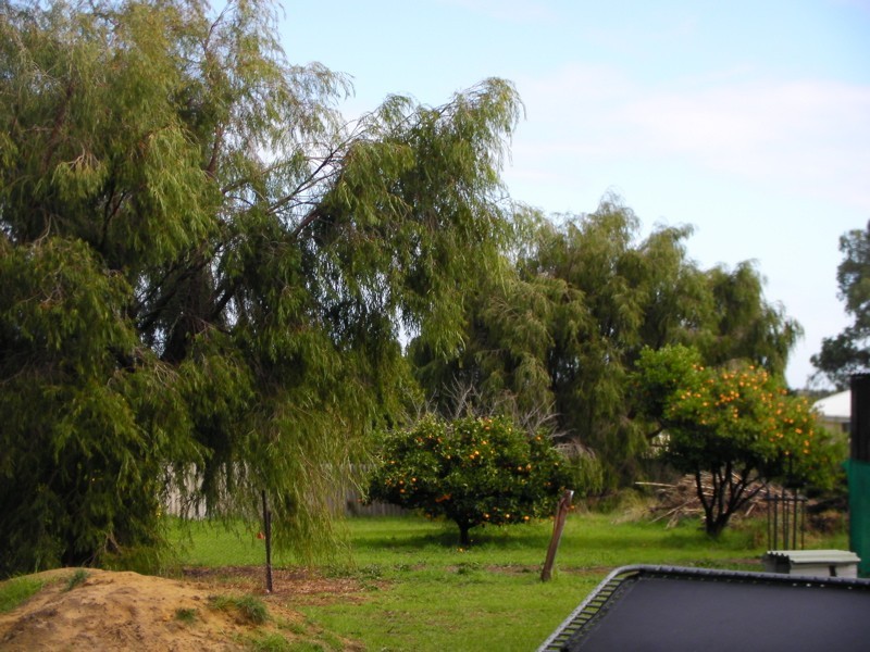 39 Hesse Street, Waroona WA 6215