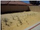 41 Greenacre Street, Pinjarra WA 6208