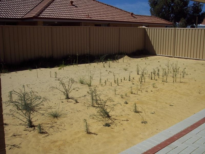41 Greenacre Street, Pinjarra WA 6208