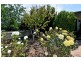 19 Marginata Crescent, Dwellingup WA 6213