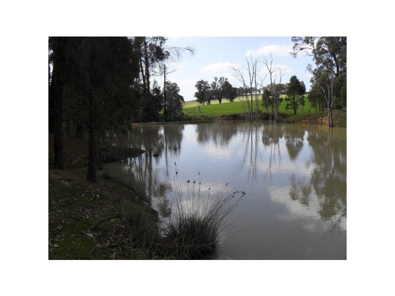 1667 Bannister – Marrandong, Boddington WA 6390