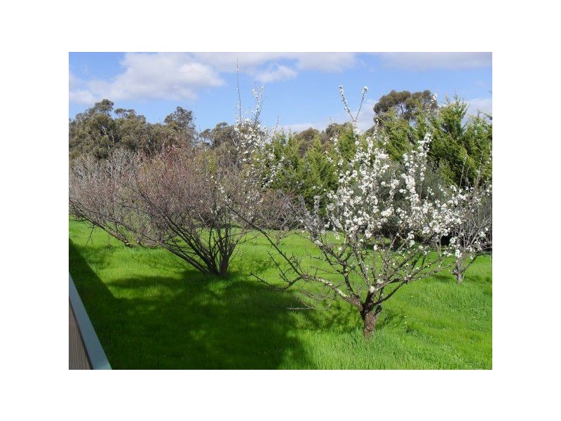 1667 Bannister – Marrandong, Boddington WA 6390