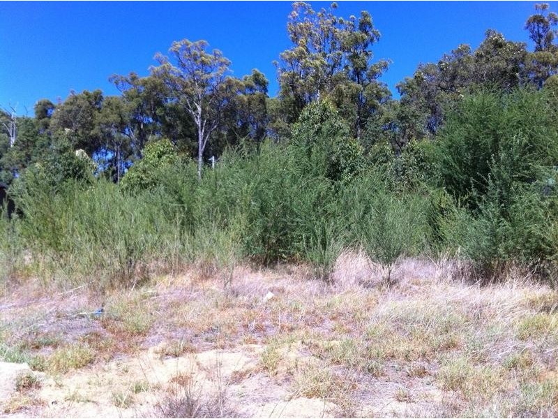 16 Begonia Court, Dwellingup WA 6213